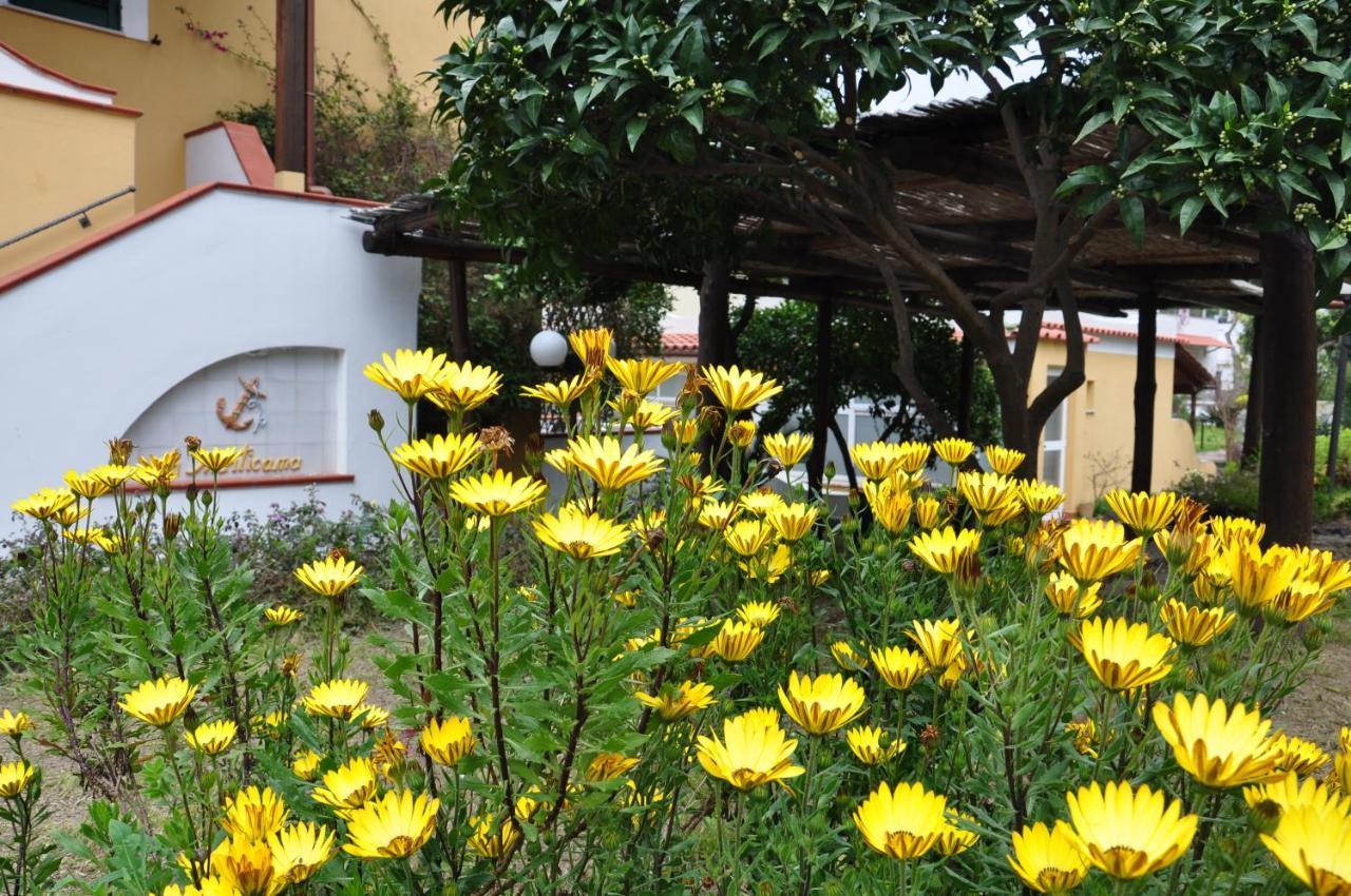 Hotel La Marticana Ischia Bagian luar foto