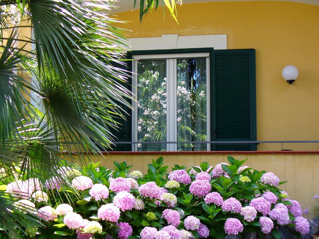 Hotel La Marticana Ischia Bagian luar foto