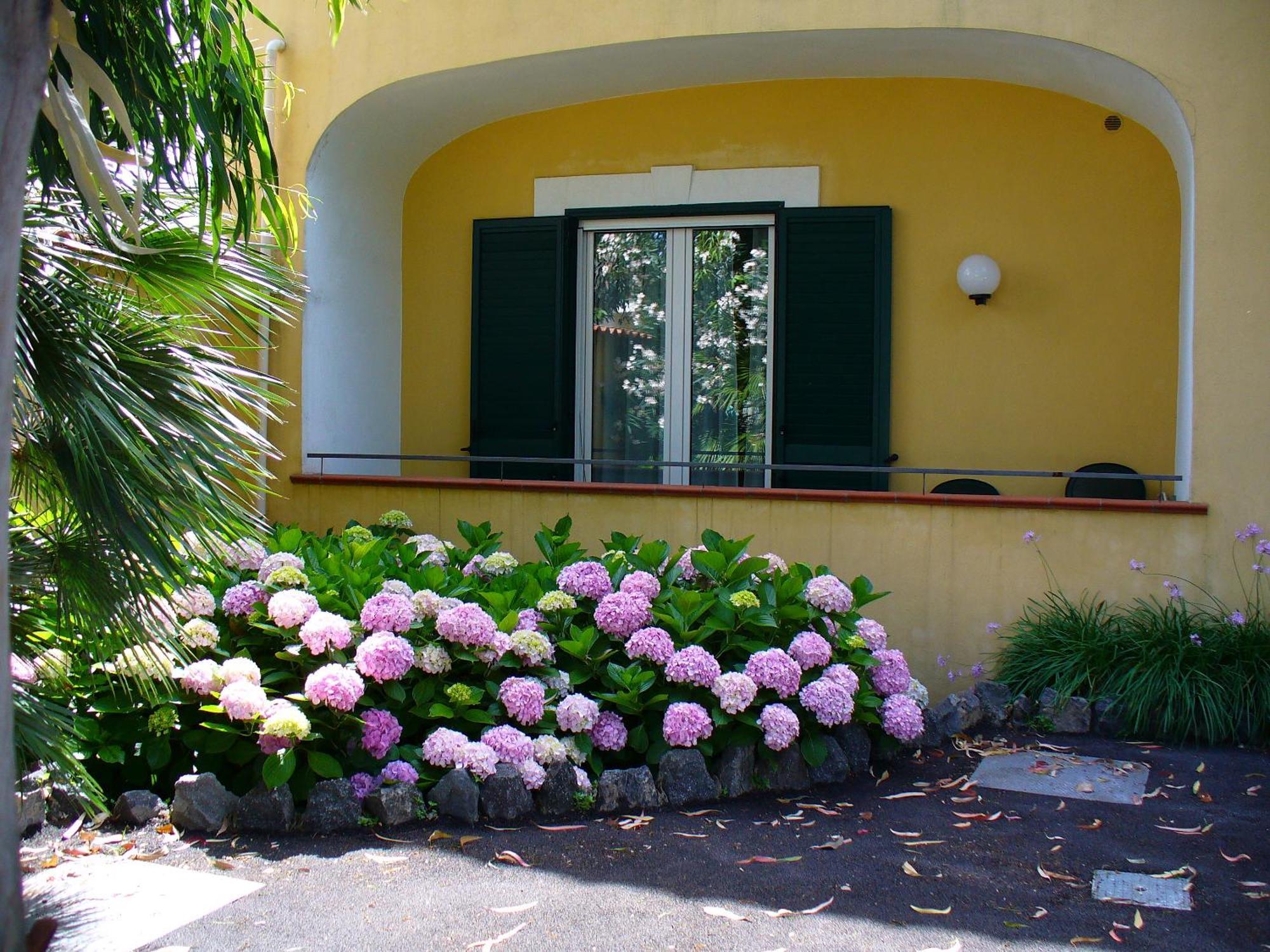 Hotel La Marticana Ischia Bagian luar foto