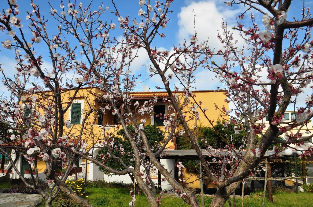 Hotel La Marticana Ischia Bagian luar foto