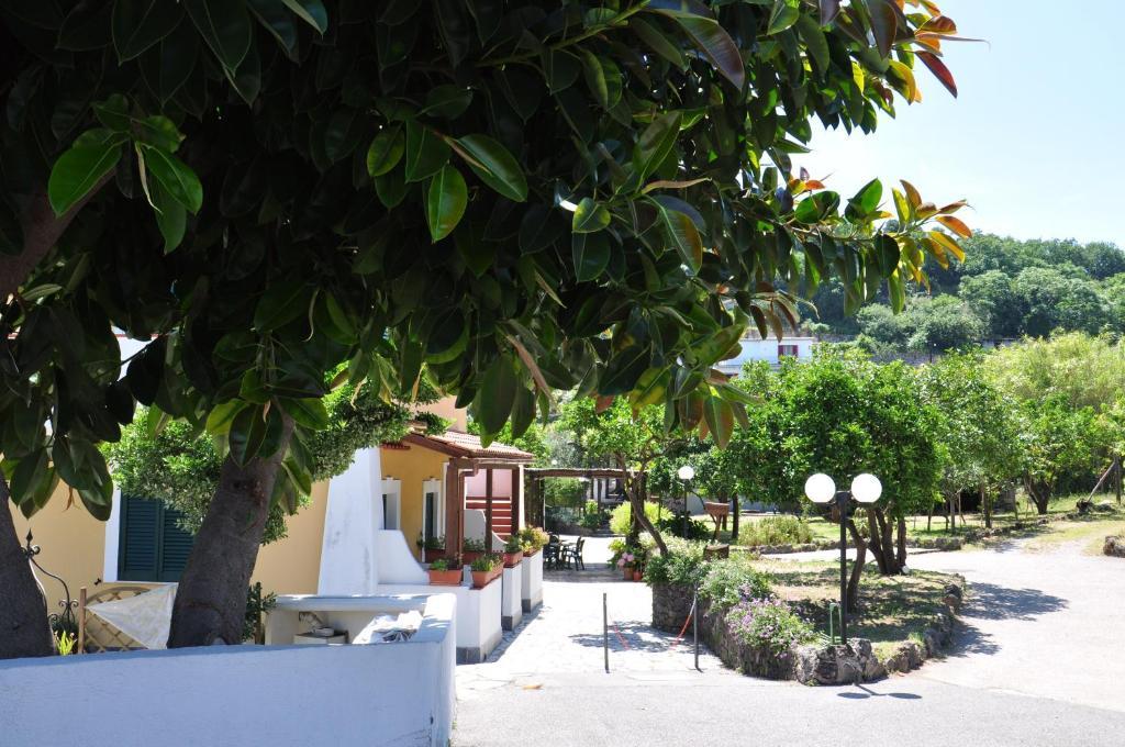 Hotel La Marticana Ischia Bagian luar foto