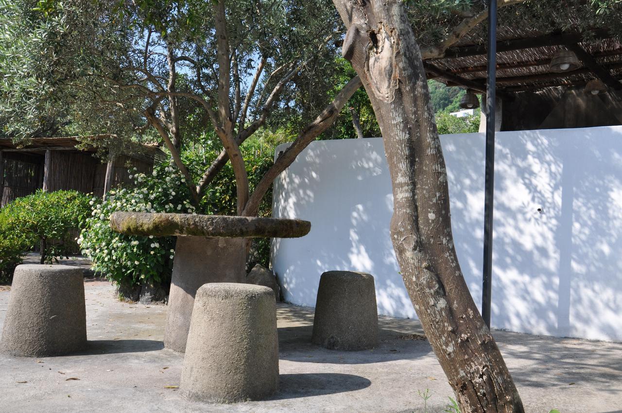 Hotel La Marticana Ischia Bagian luar foto