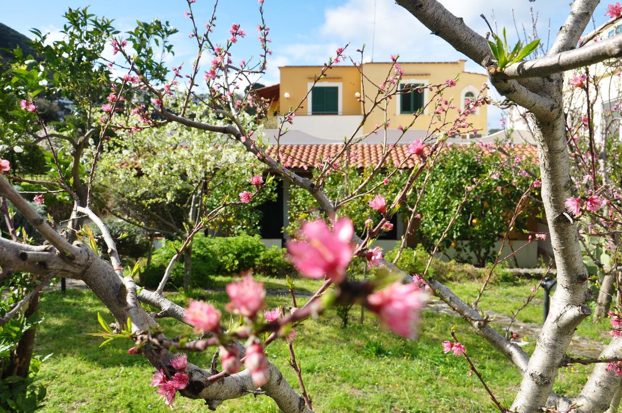 Hotel La Marticana Ischia Bagian luar foto
