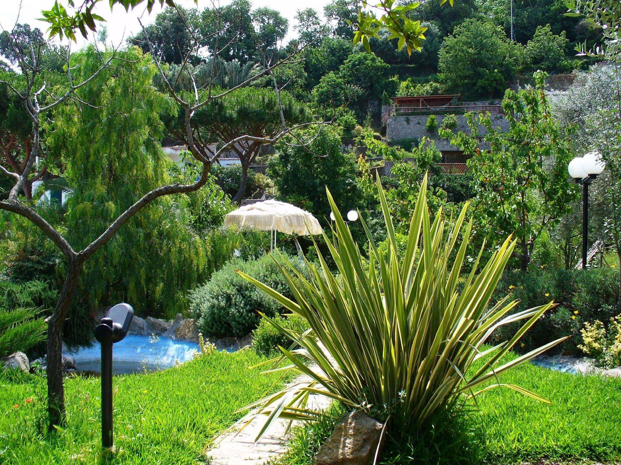 Hotel La Marticana Ischia Bagian luar foto